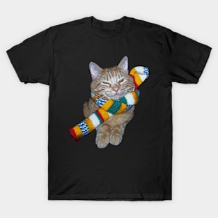 Cat in a scarf T-Shirt